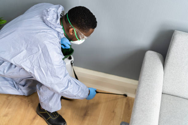 Best Real Estate Pest Inspections  in Thomaston, NY